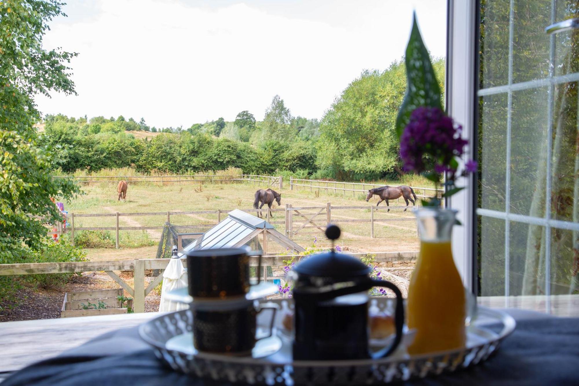 Cherry Orchard Farm South Wraxall 部屋 写真