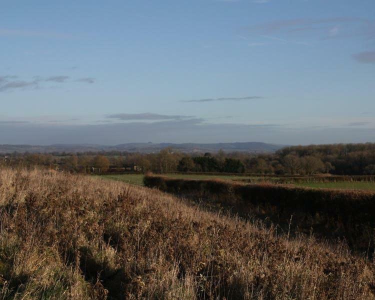 Cherry Orchard Farm South Wraxall エクステリア 写真