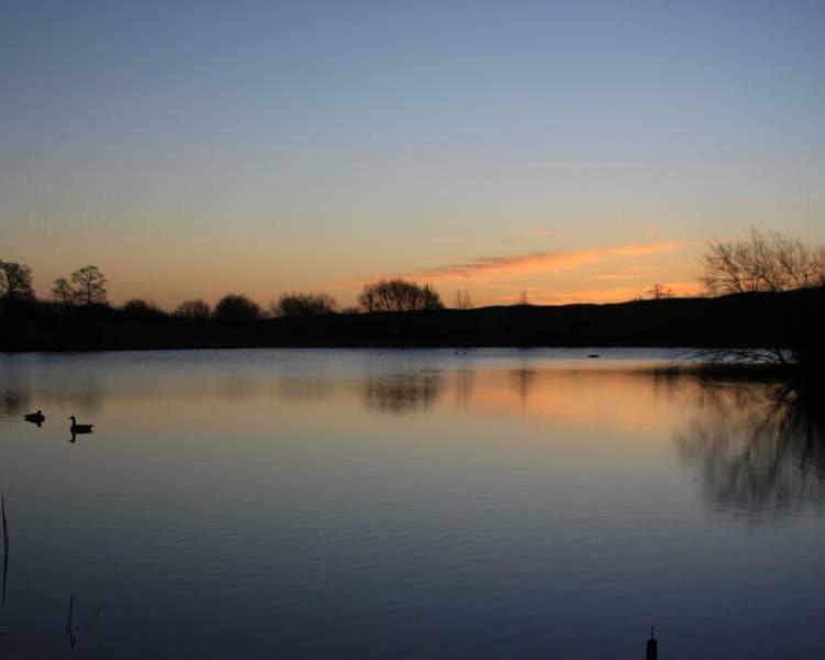 Cherry Orchard Farm South Wraxall エクステリア 写真